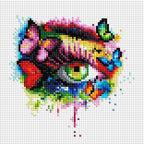Beautiful Eye K6