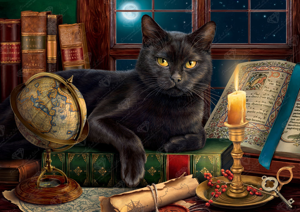 Black Cat by Candlelight C8