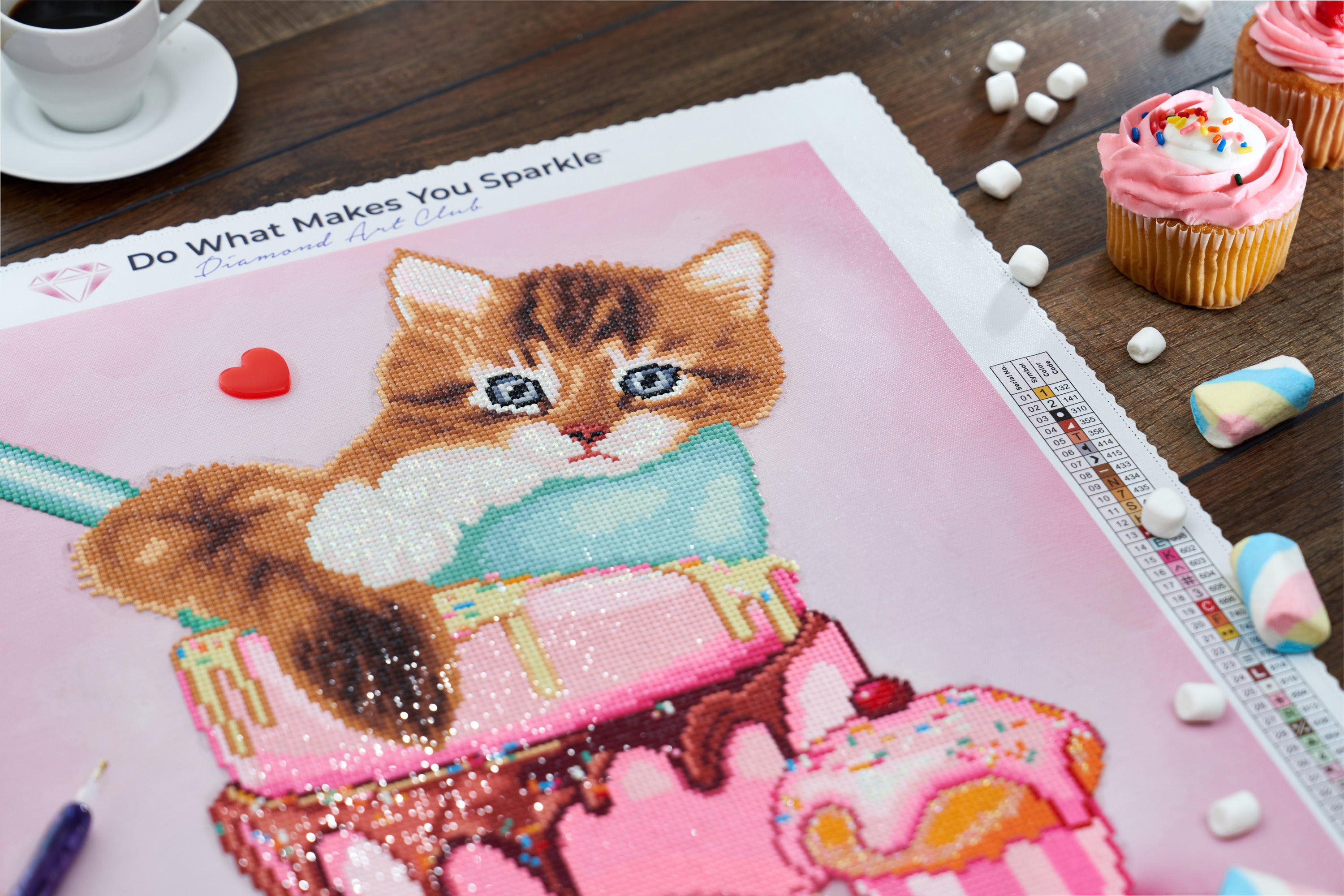 Cat & Cupcake N0