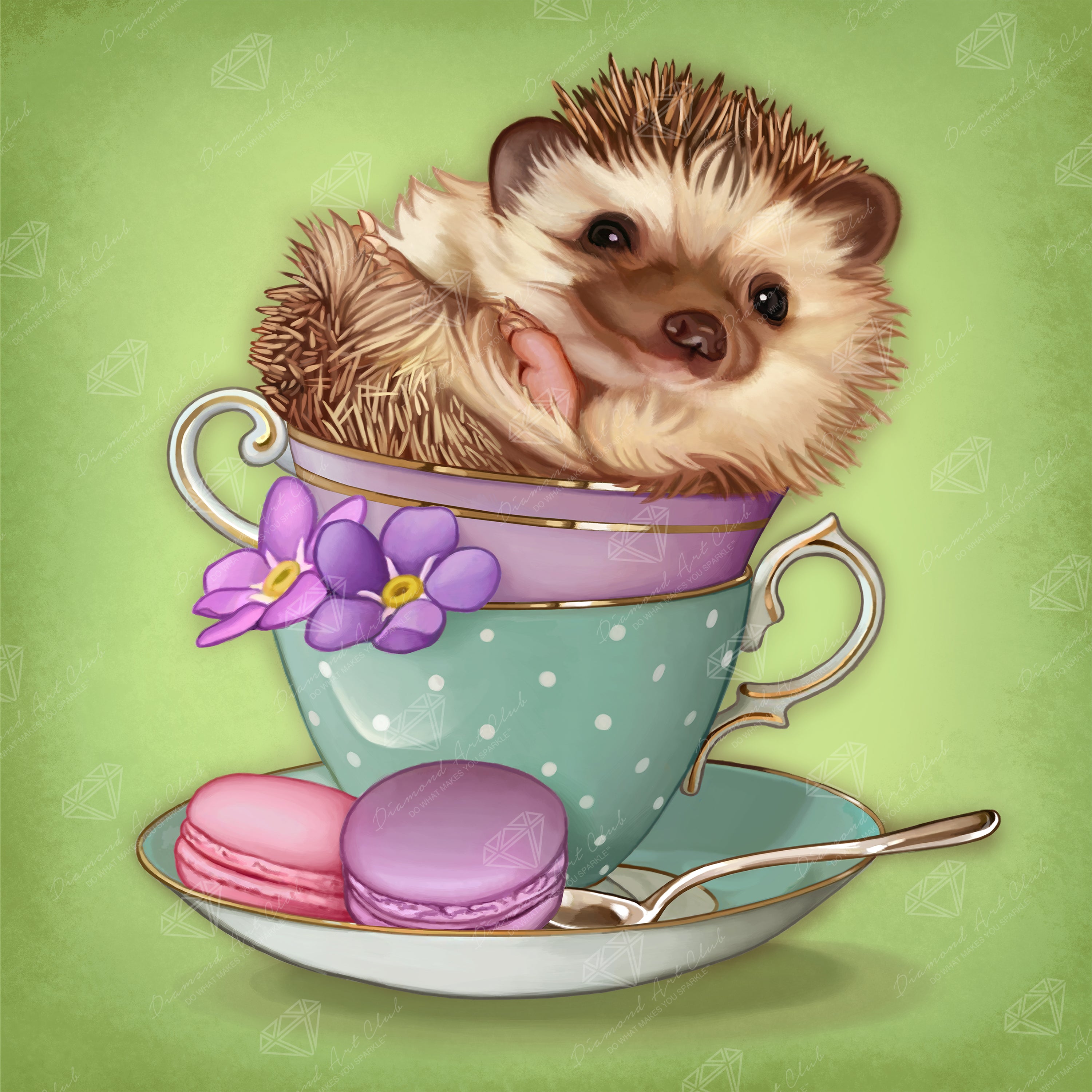 Hedgehog Y6