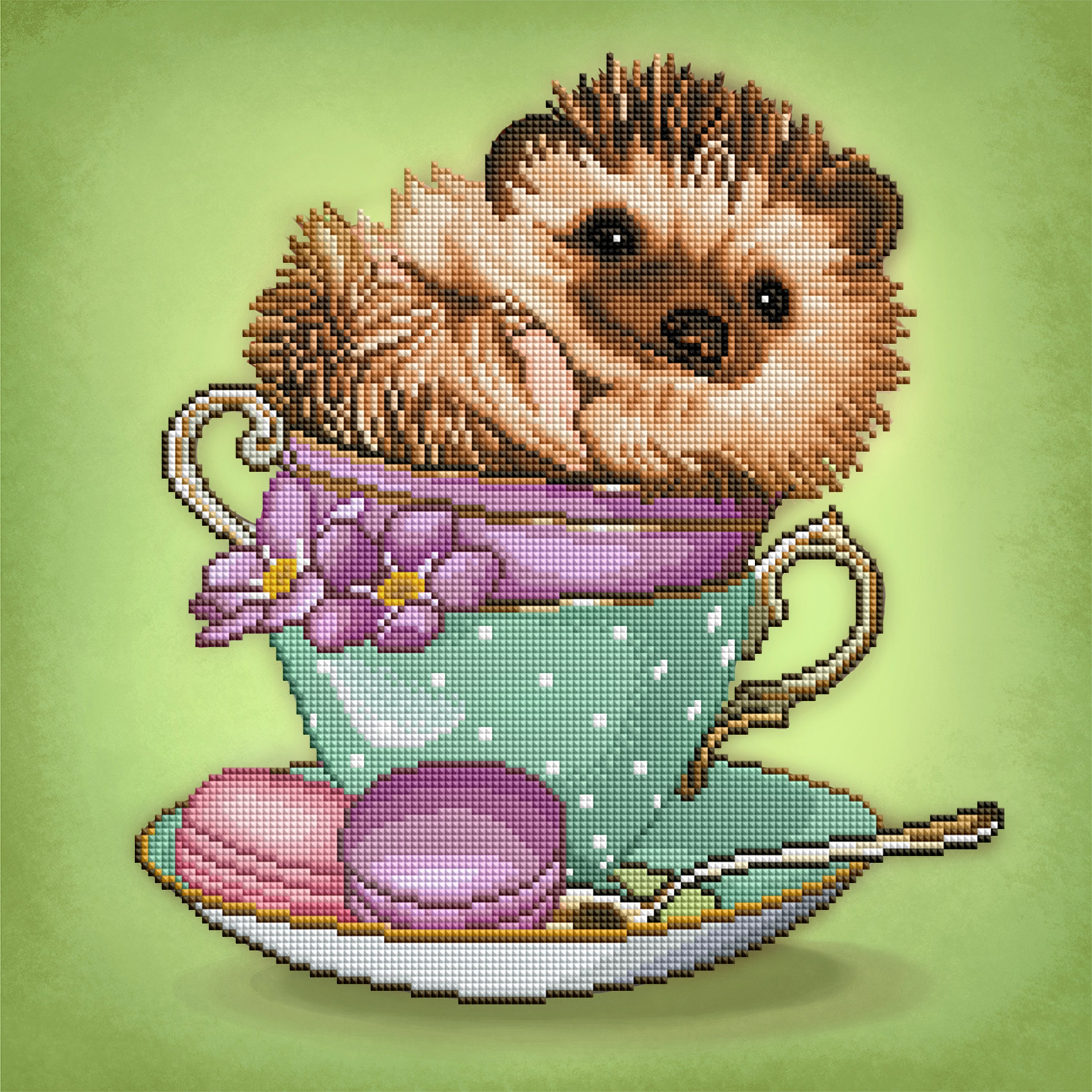 Hedgehog Y6