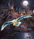 Hogwarts™ and Hedwig™ K9