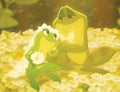 If Your Heart is True, Your Dreams Come True Y0