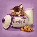 Kitten & Cookies I7