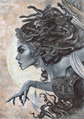 Medusa R8