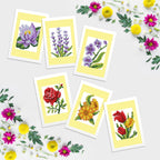 Mini Dazzles™ - Classic Flowers T7