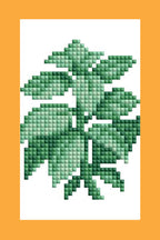 Mini Dazzles™ - Herbs & Medicinal Plants H7