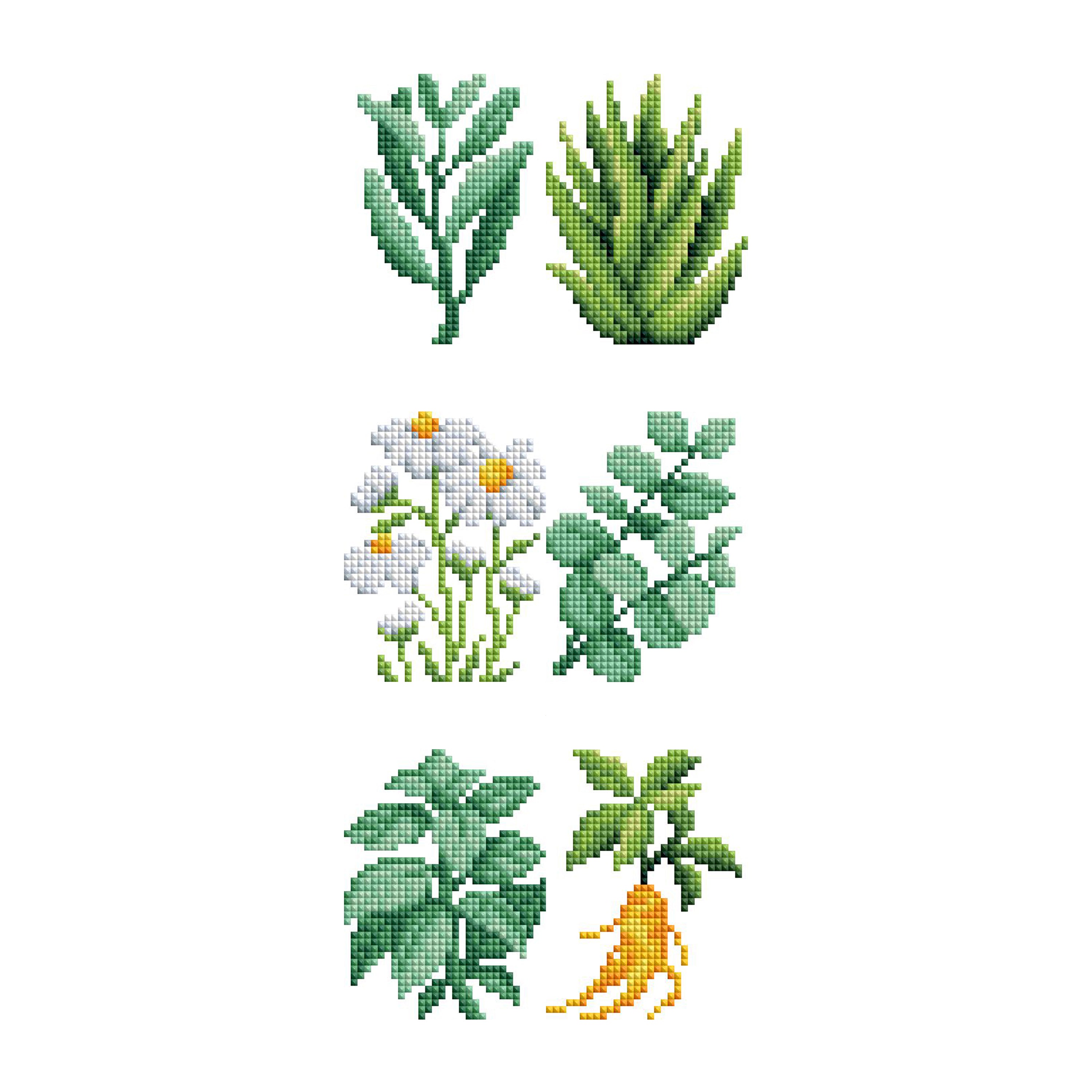 Mini Dazzles™ - Herbs & Medicinal Plants H7