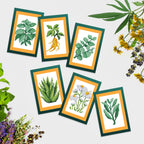 Mini Dazzles™ - Herbs & Medicinal Plants H7