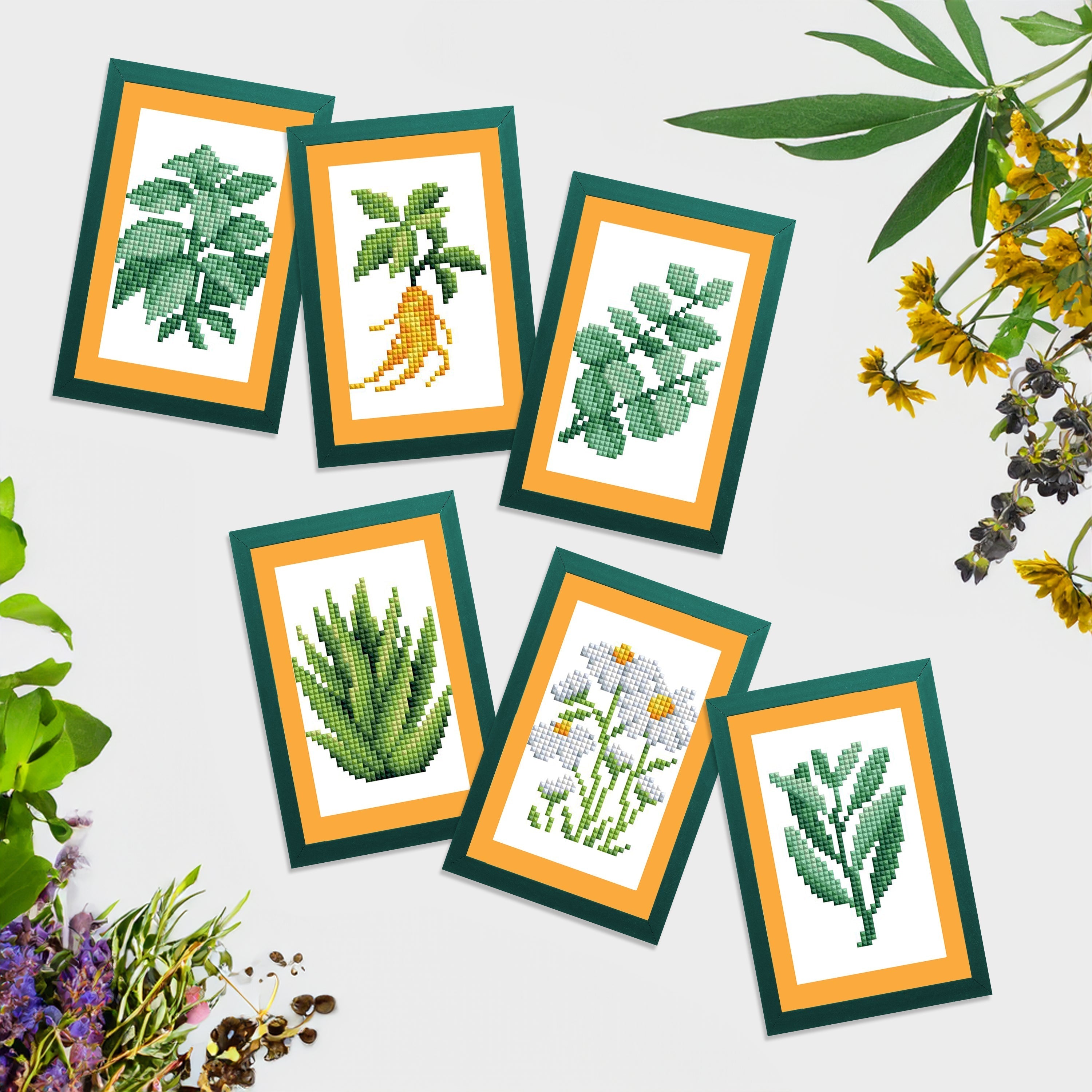 Mini Dazzles™ - Herbs & Medicinal Plants H7