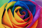 Rainbow Flower Petals R0