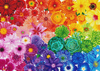 Rainbow Flower Power Y5