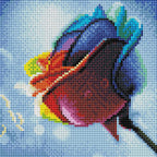 Rainbow Rose Z1