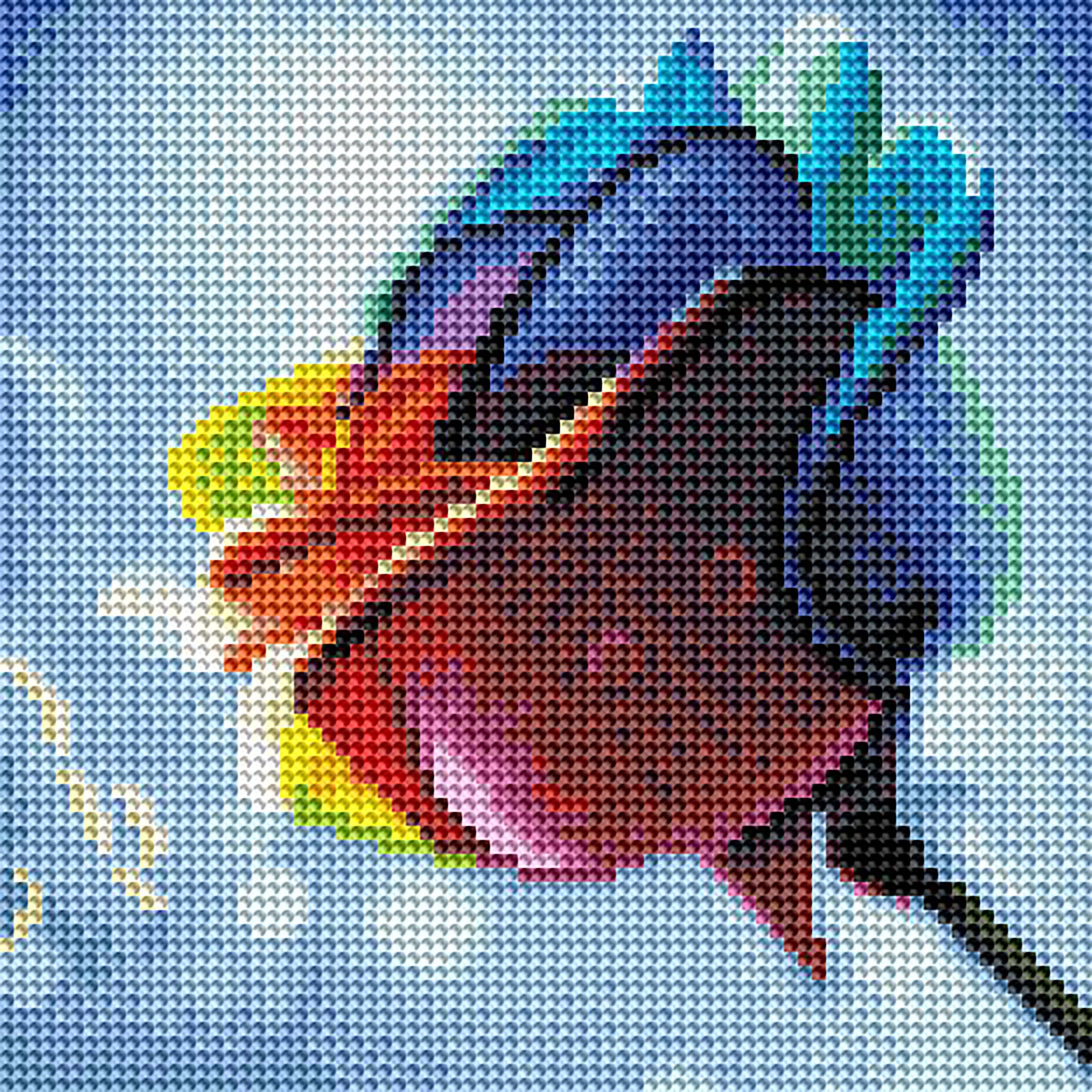 Rainbow Rose Z1