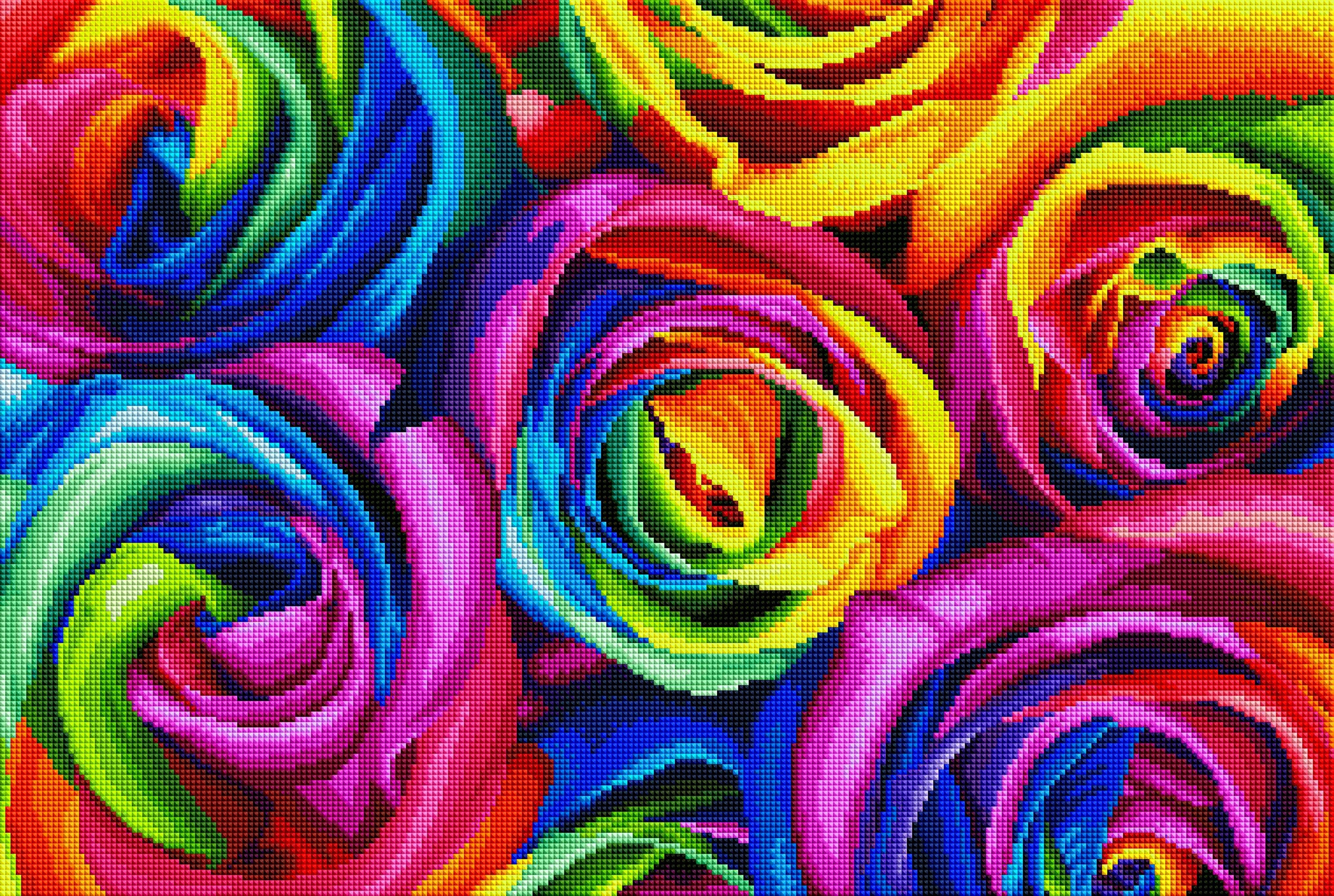 Rainbow Roses J0