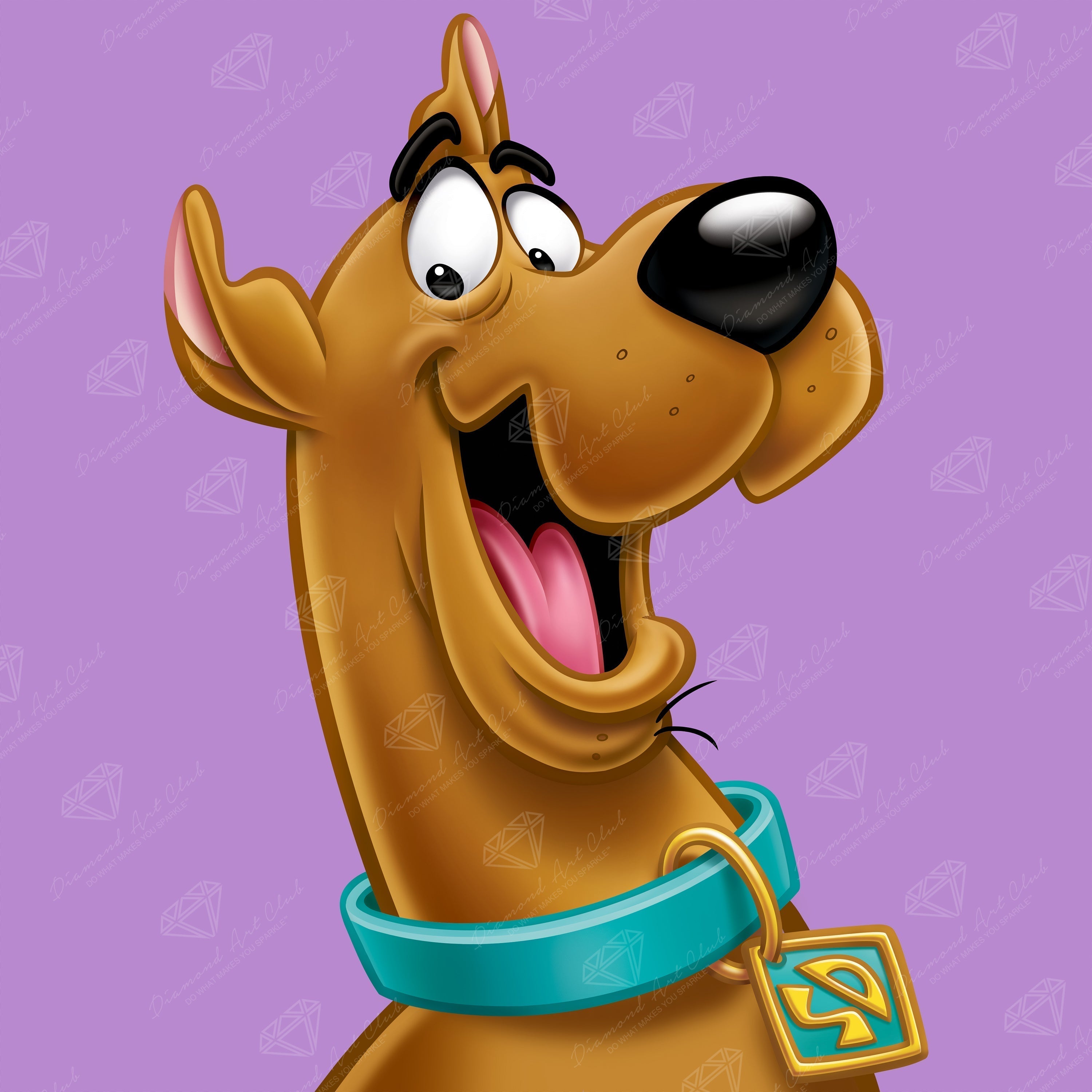 Scooby Dooby Doo R6