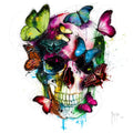 Soul's Colors O5