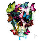 Soul's Colors D1