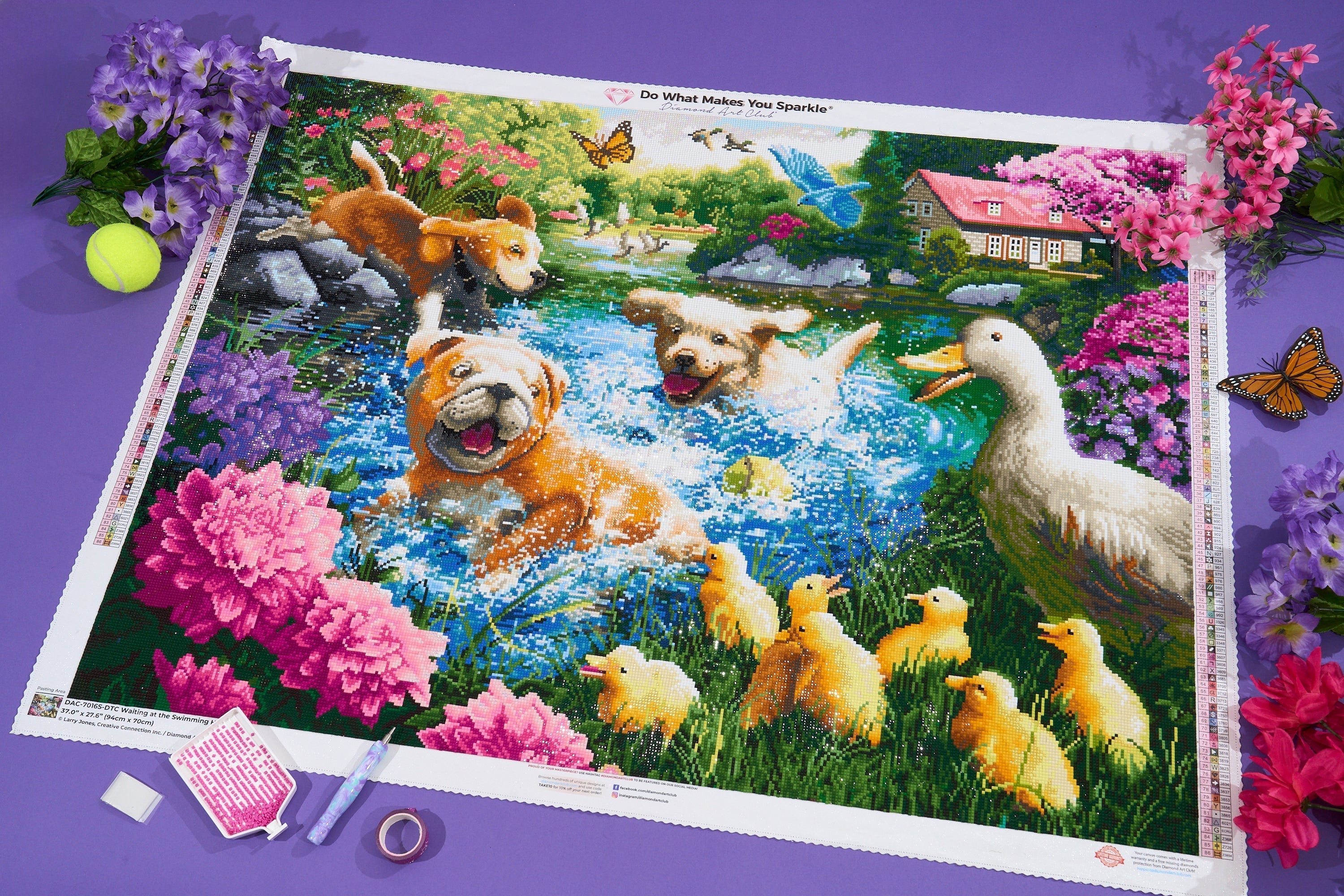 Waiting at the Swimming Hole F2