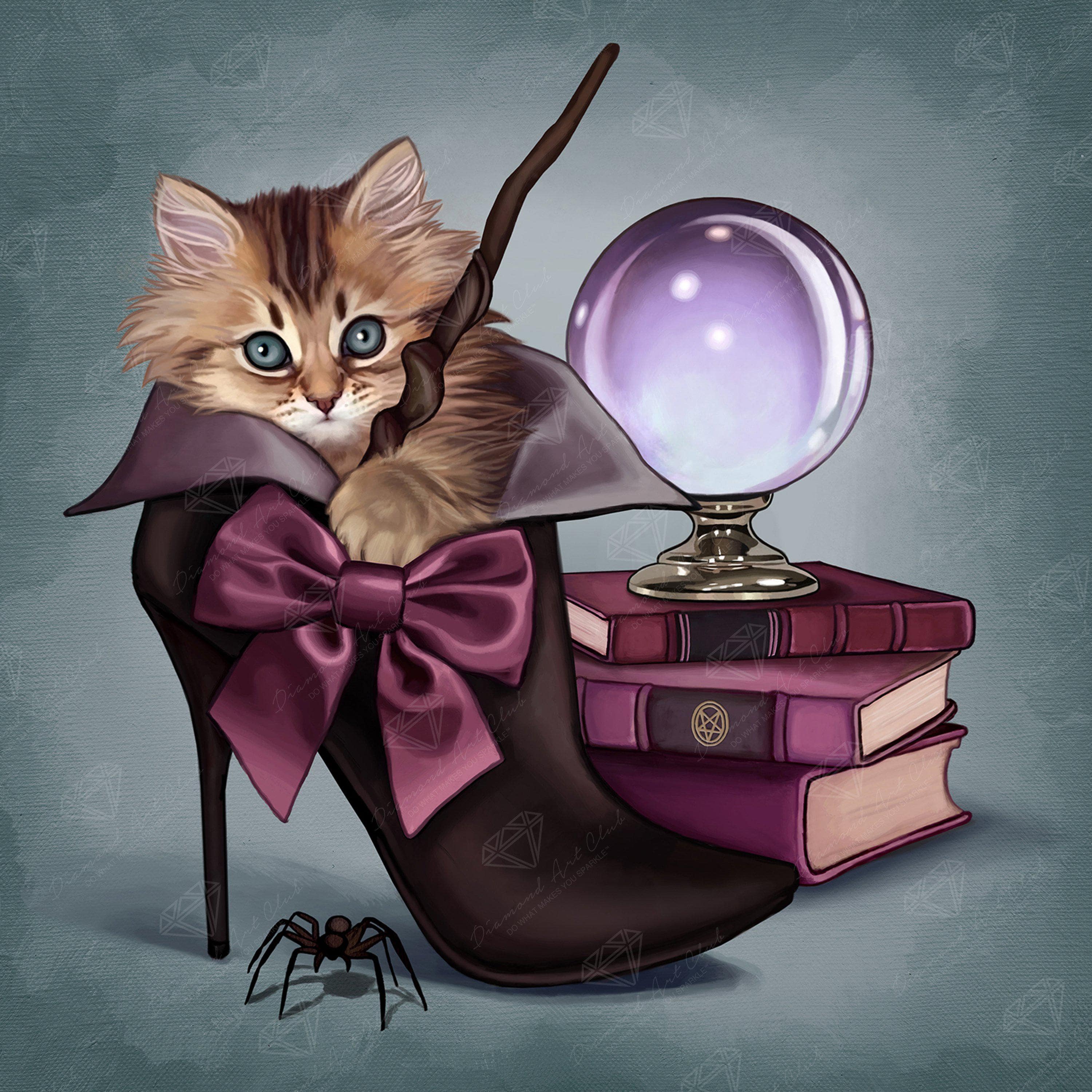 Wizard Kitten Y8