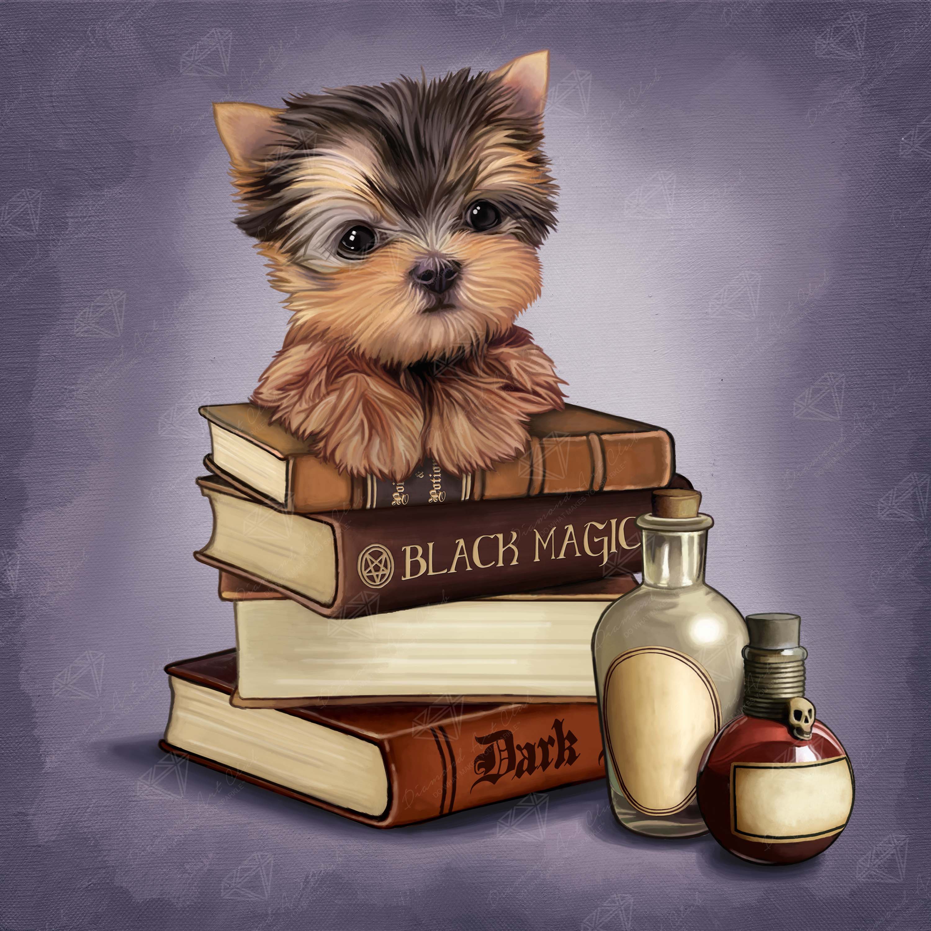 Yorkie & Magic Books F7