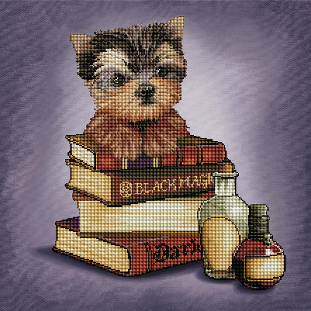 Yorkie & Magic Books F7