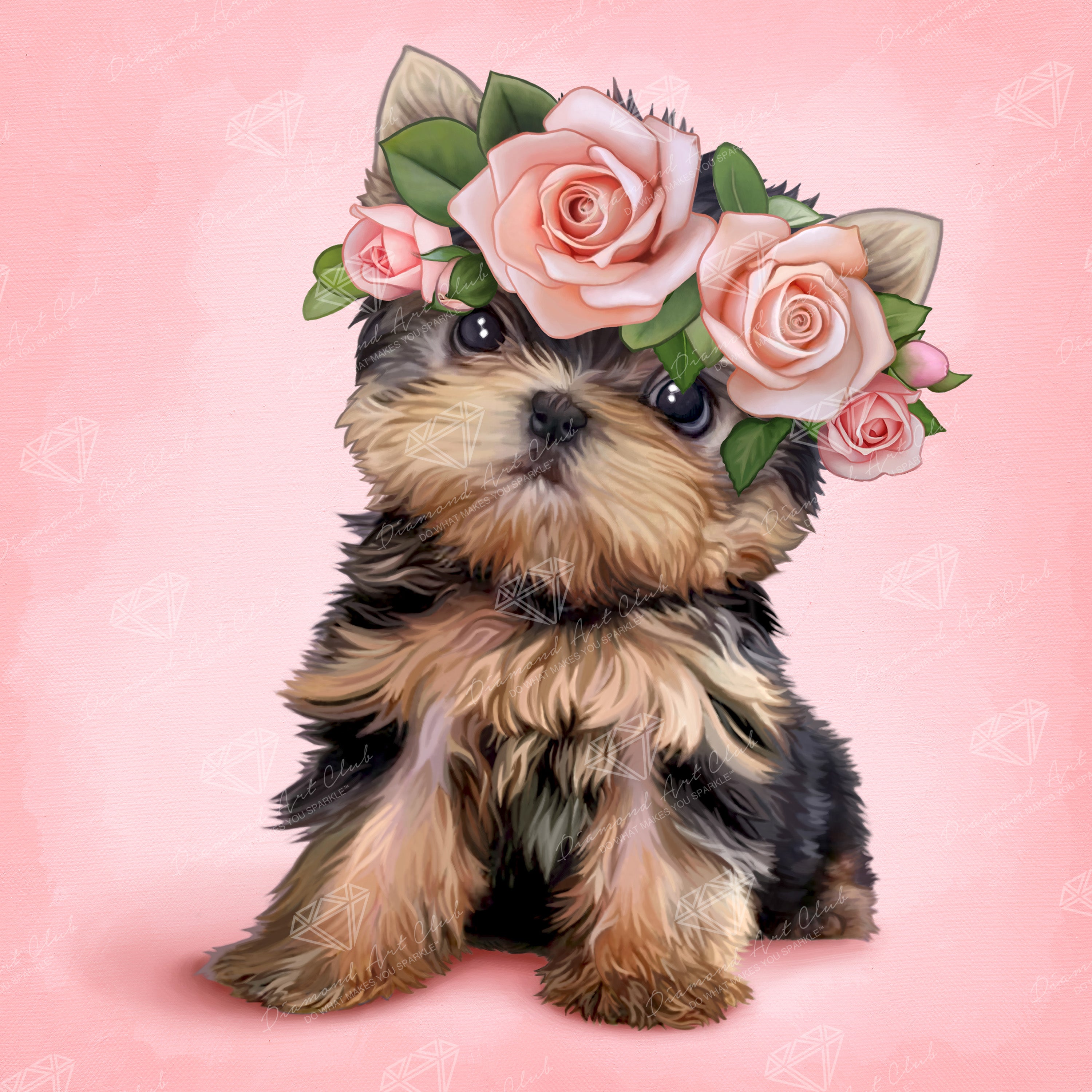 Yorkie & Roses H8