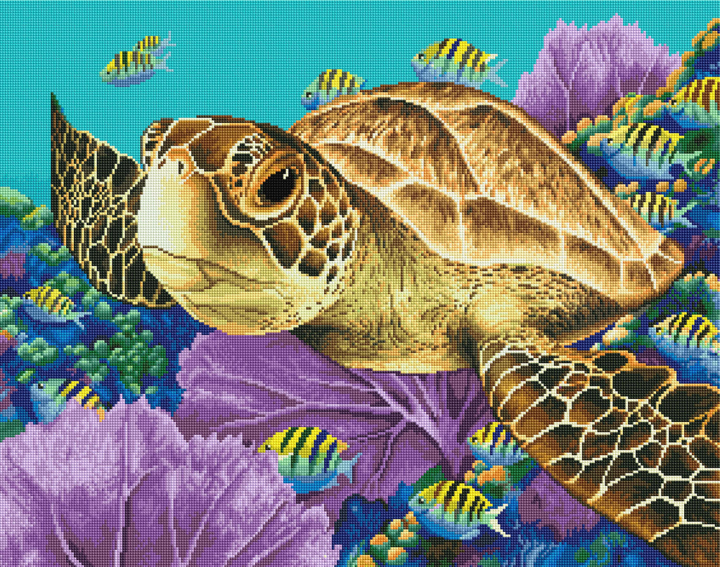 Young Green Sea Turtle G2