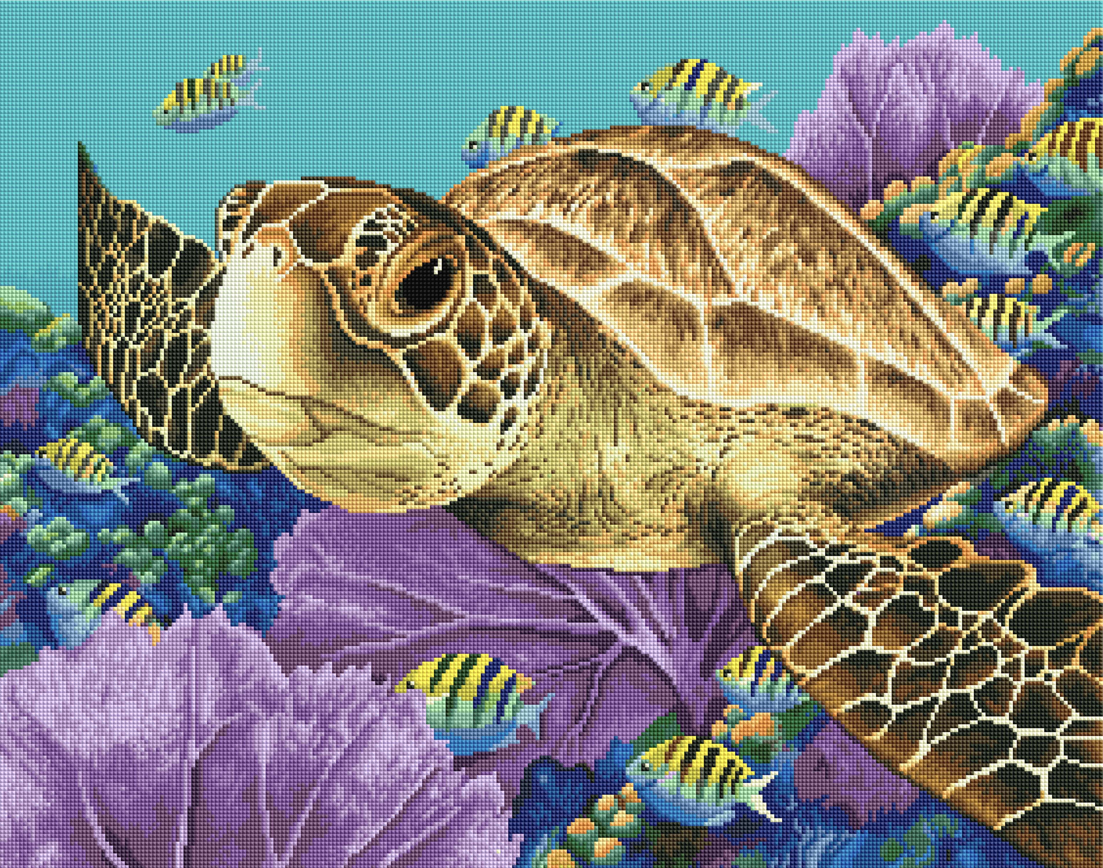 Young Green Sea Turtle G2