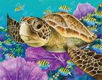 Young Green Sea Turtle S2