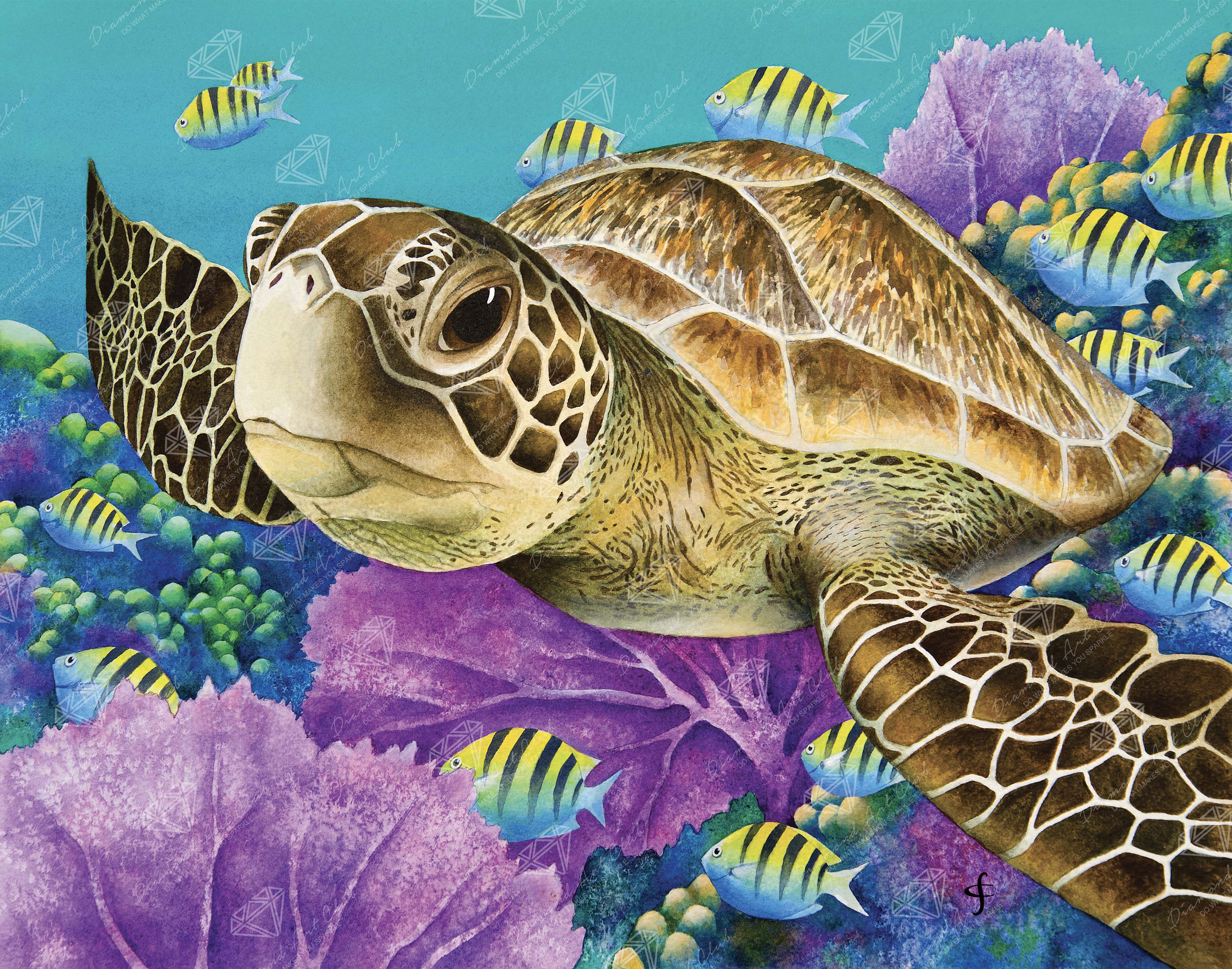 Young Green Sea Turtle G2